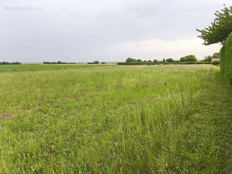 Terrain à MONS