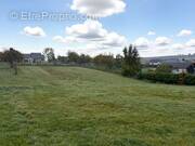 Terrain à GRINDORFF-BIZING