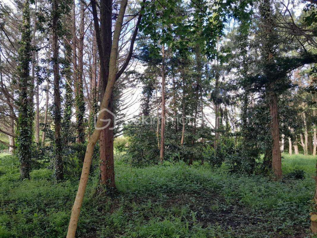 Propriété et Bois - photo 15