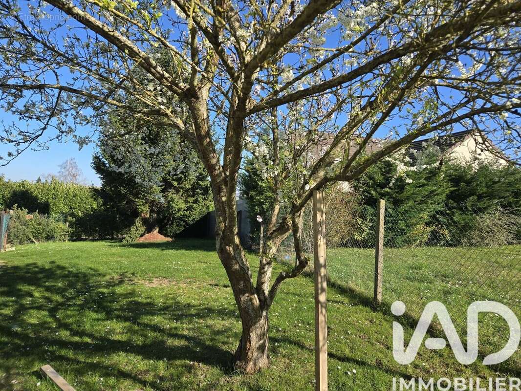 Maison 71 m² à Courtois-Sur-Yonne  - photo 3