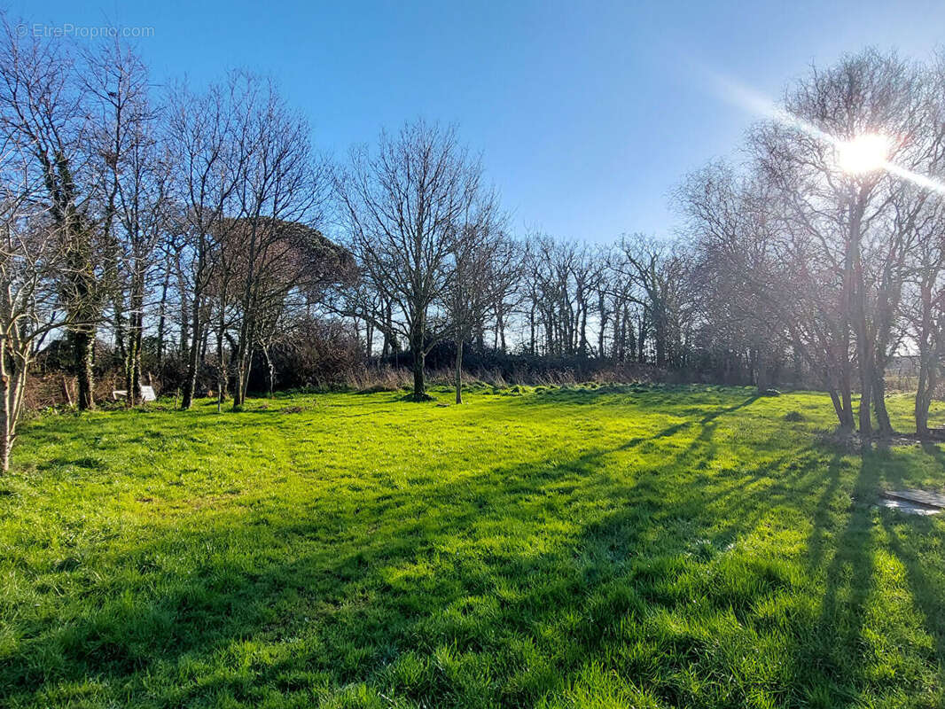 Maison à SAINT-MOLF