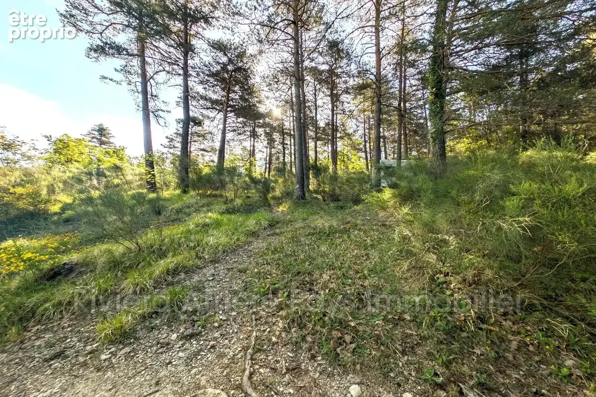 Terrain 2232 m² à Val-De-Chalvagne  - photo 5