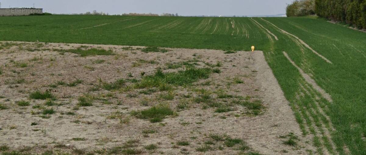 Terrain à REIMS