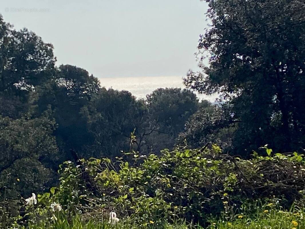 Terrain à CAGNES-SUR-MER