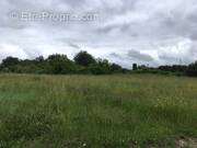 Terrain à LA CHAPELLE-SUR-OUDON