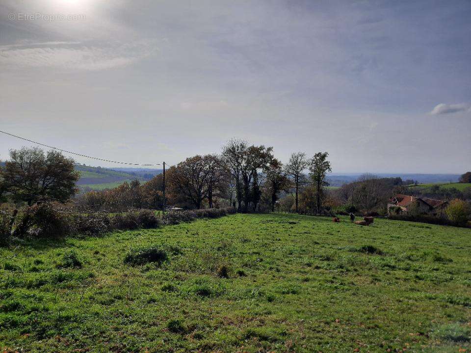 Terrain à MONTREDON