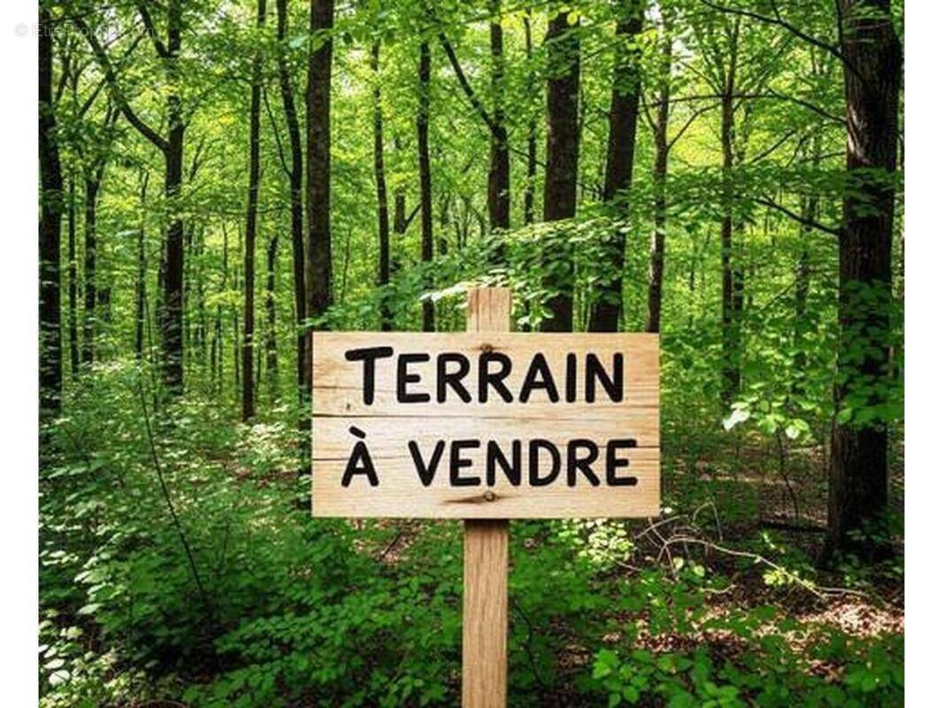 Terrain à BEGANNE