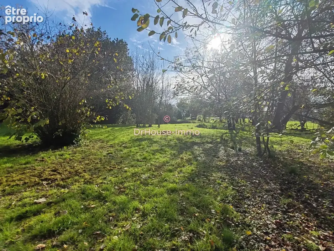 Terrain 4 800 m² à vendre à Saint-Cyr-En-Talmondais (85540) - photo 21