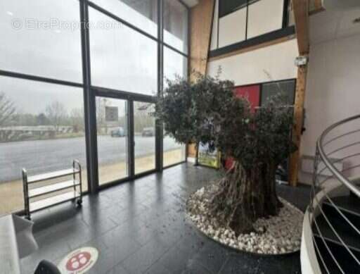 Commerce à BERD&#039;HUIS