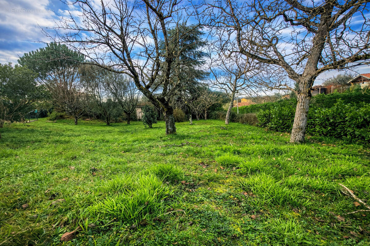 Terrain à SAINT-ORENS-DE-GAMEVILLE