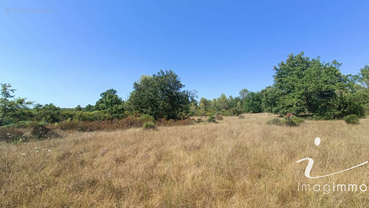 Terrain agricole avec un puits - photo 6