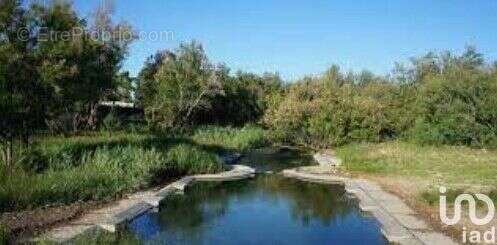 Photo 8 - Terrain à LA PALME