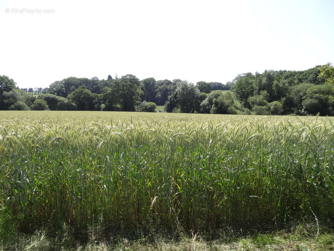 Maison à SAINT-NICOLAS-DU-PELEM