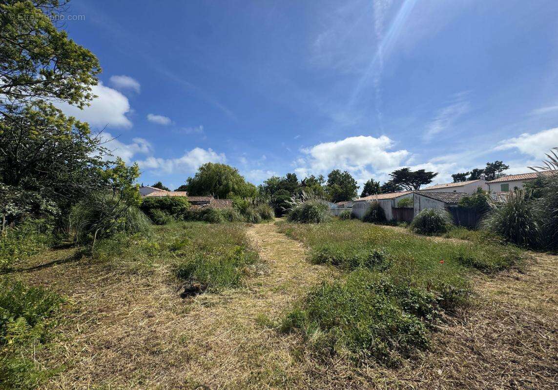 Terrain à LES PORTES-EN-RE
