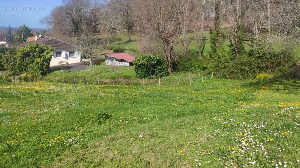 Terrain à SALIES-DE-BEARN