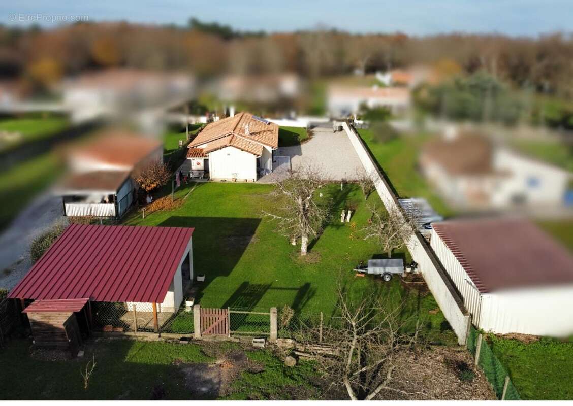Photo 3 - Maison à CISSAC-MEDOC