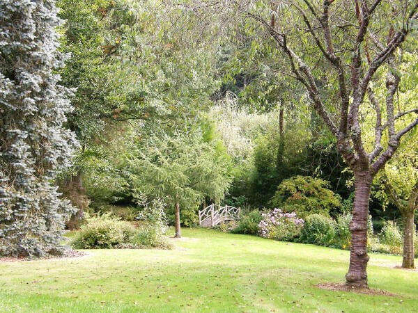 JARDIN - Maison à MASSIGNAC