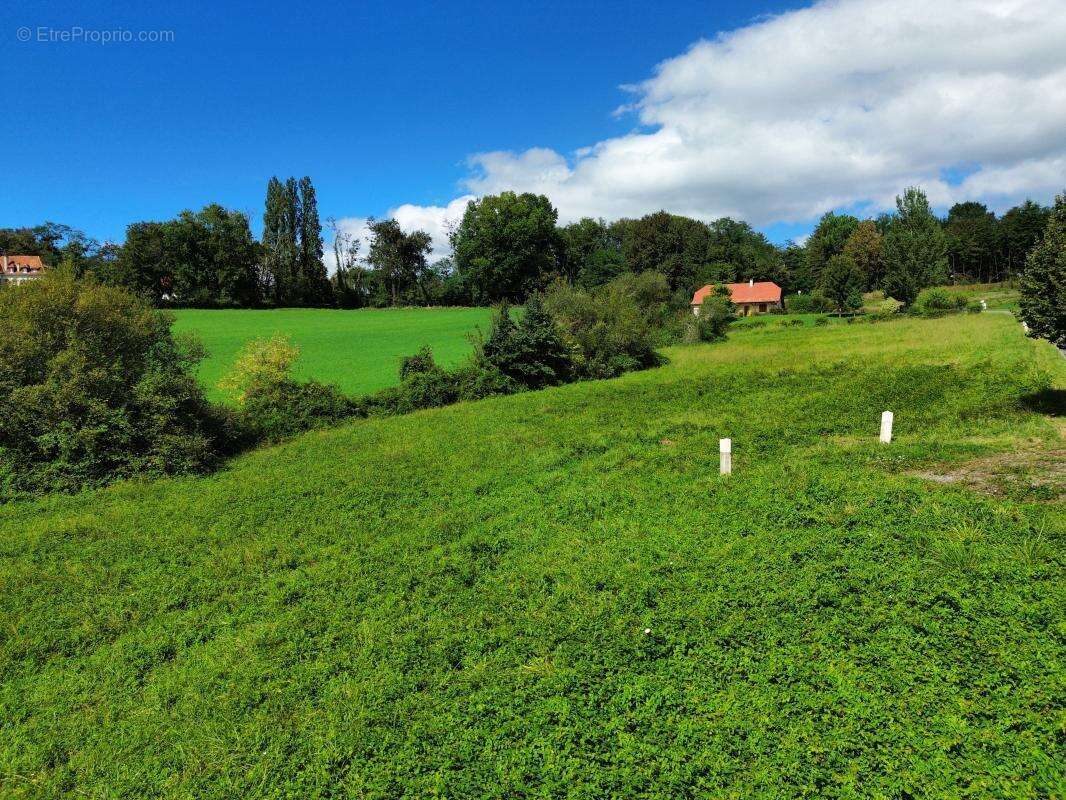 Terrain à SAUVETERRE-DE-BEARN