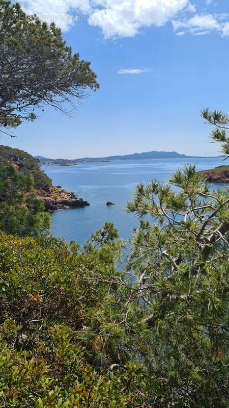 Appartement à BANDOL