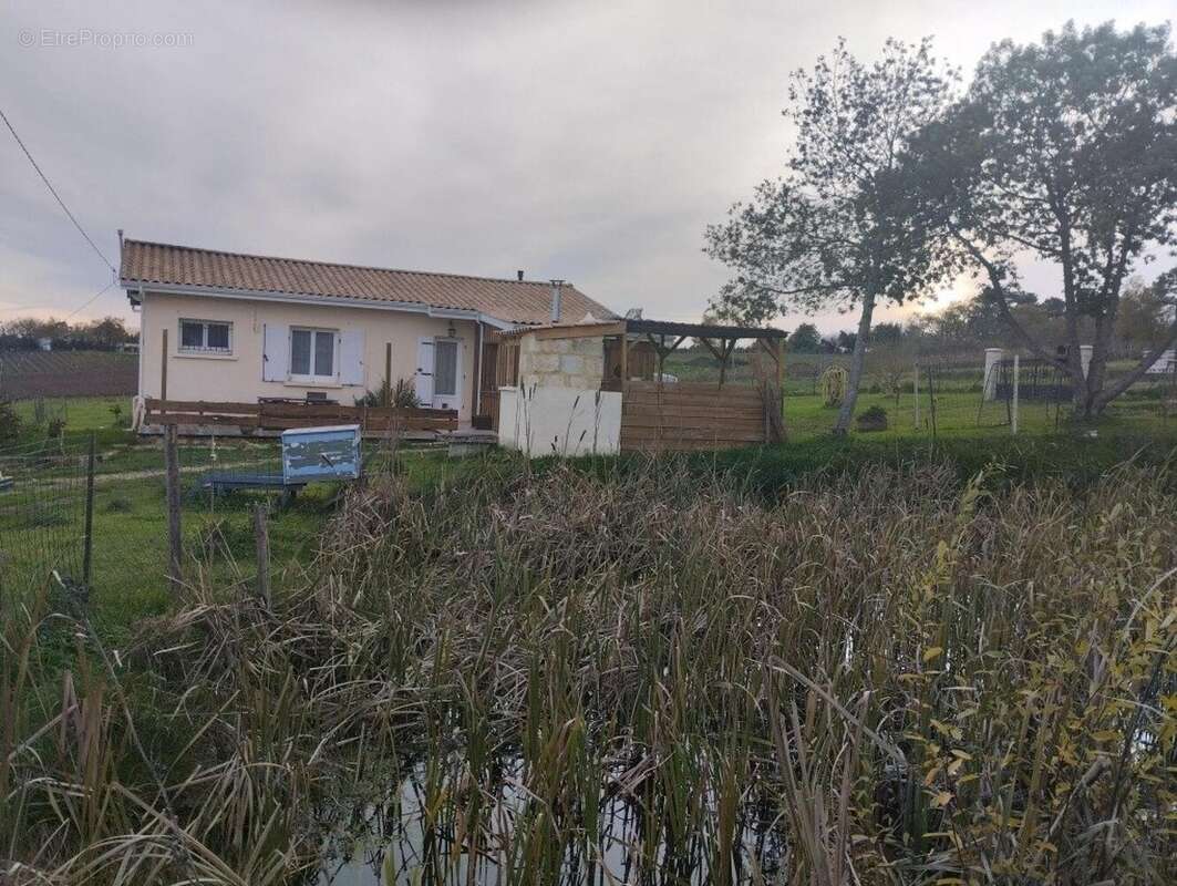 Photo 4 - Maison à PLEINE-SELVE