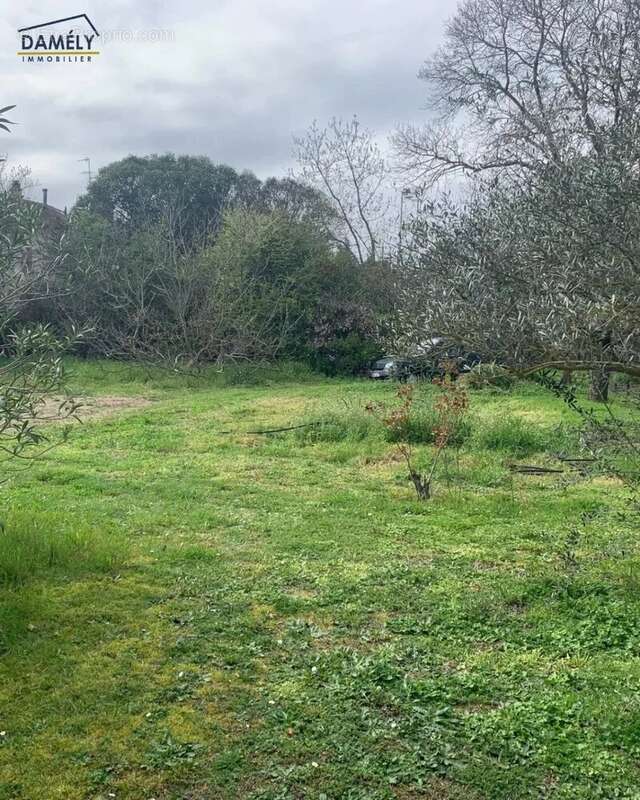Terrain à TOULOUSE