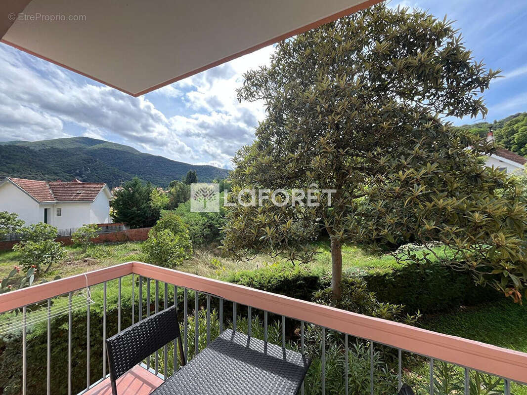 Appartement Amelie Les Bains Palalda 1 pièce 22m² - photo 7