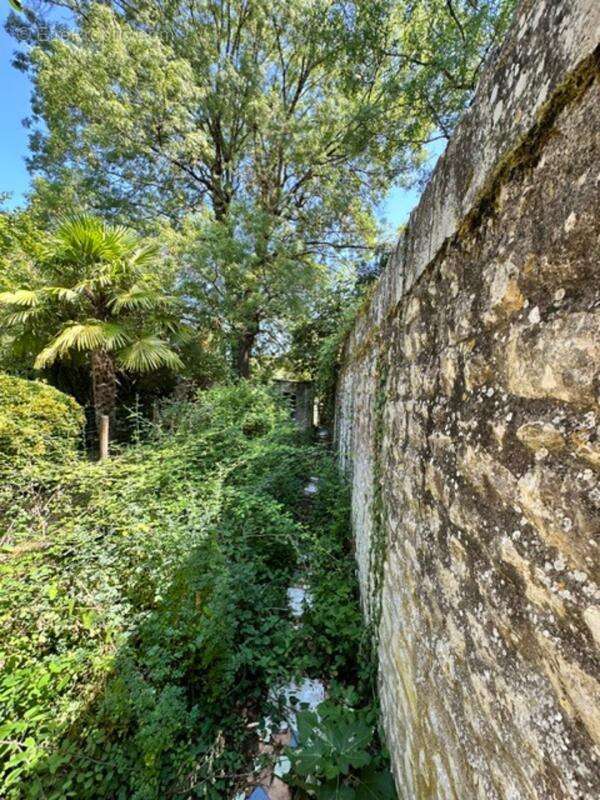 Maison à rénover + terrain non attenant bord de touvre. RUELLE SUR TOUVRE (16) - photo 6