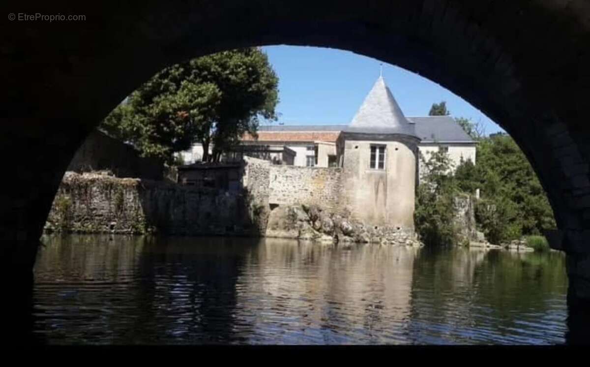 Bien rare et unique: Château à rénover situé sur une île - photo 2