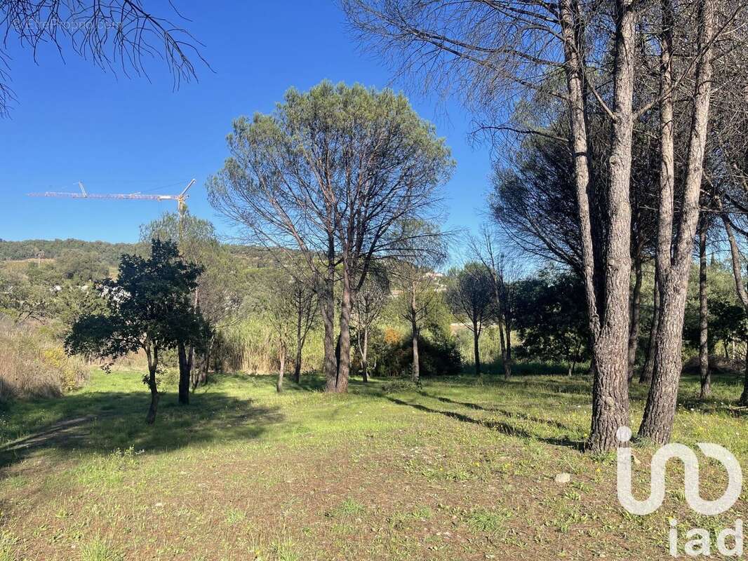 Photo 3 - Terrain à GRIMAUD