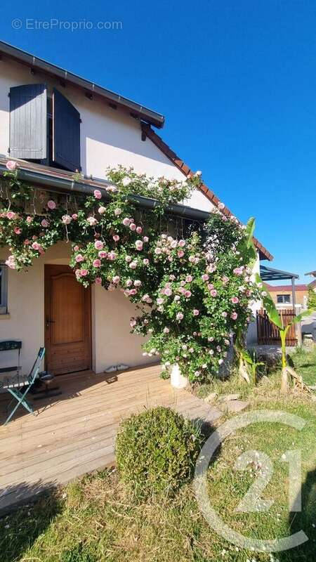 Maison à NEUILLY-LE-REAL