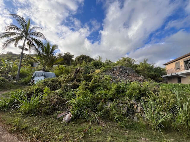 Terrain à SAINT-JOSEPH