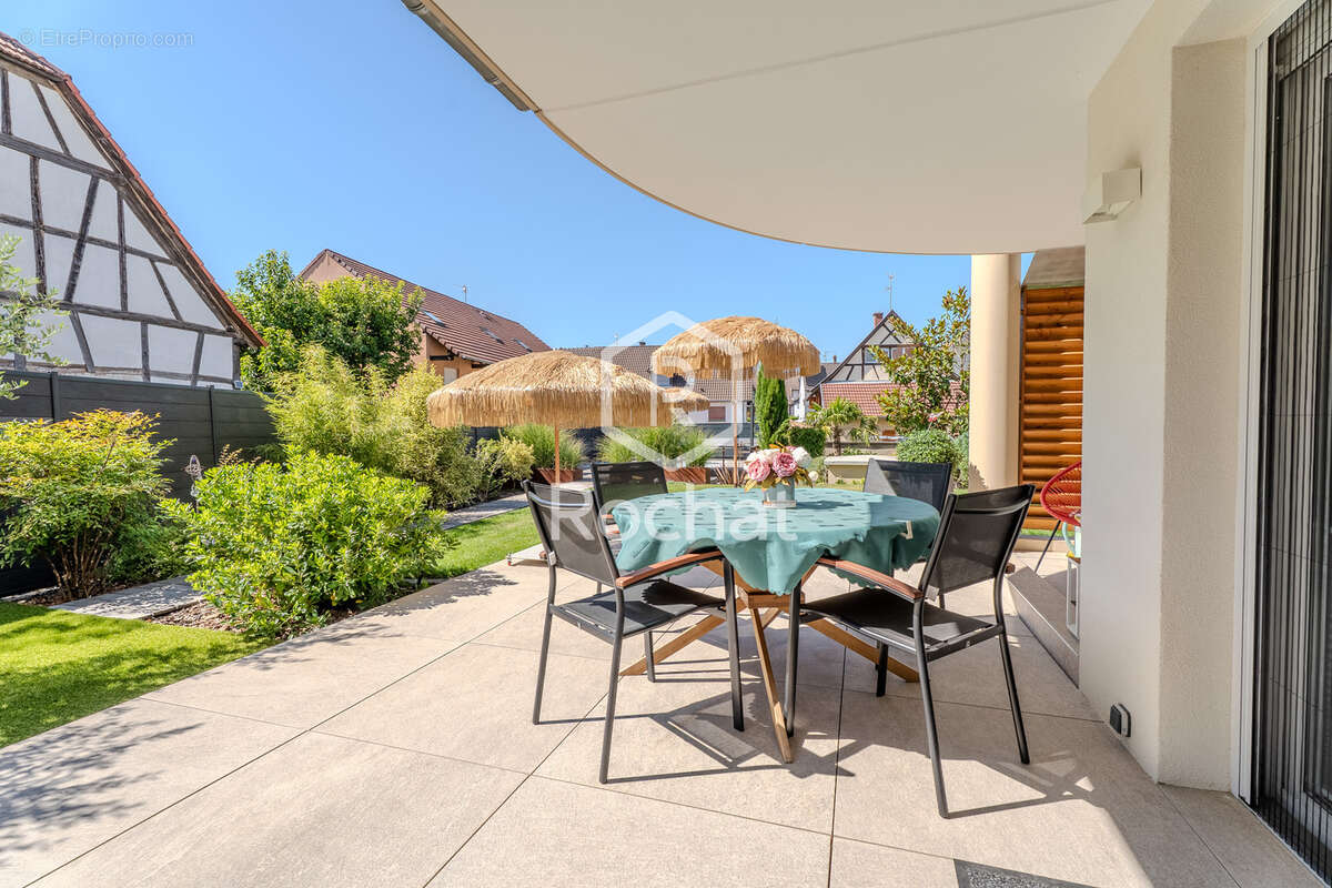 Oberschaeffolsheim   rare t4 rez-de-jardin avec piscine, jardin de 275 m2 et garage double - photo 17
