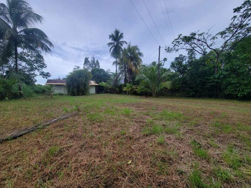 Terrain de 1 702 m² avec maison T4 – Rémire-Montjoly - photo 2
