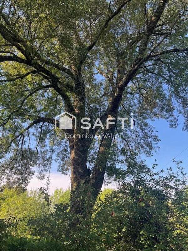 Photo 6 - Maison à POMPIGNAN