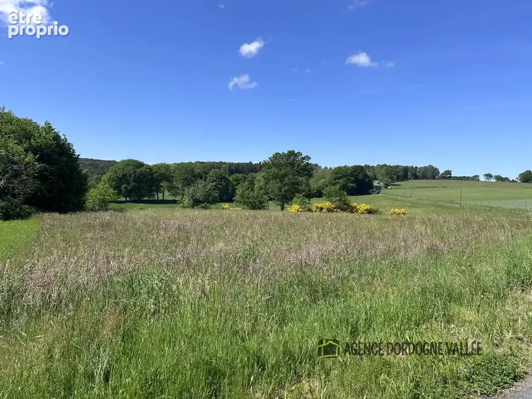 Terrain avec CU - photo 2
