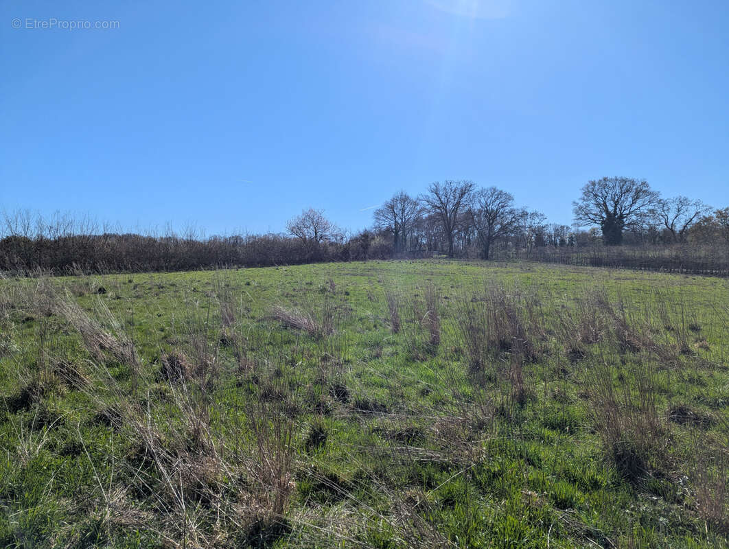 Maison à CHAMPILLET