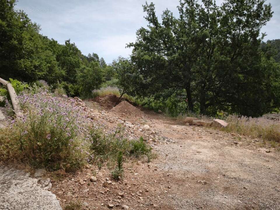 Terrain à BELGENTIER