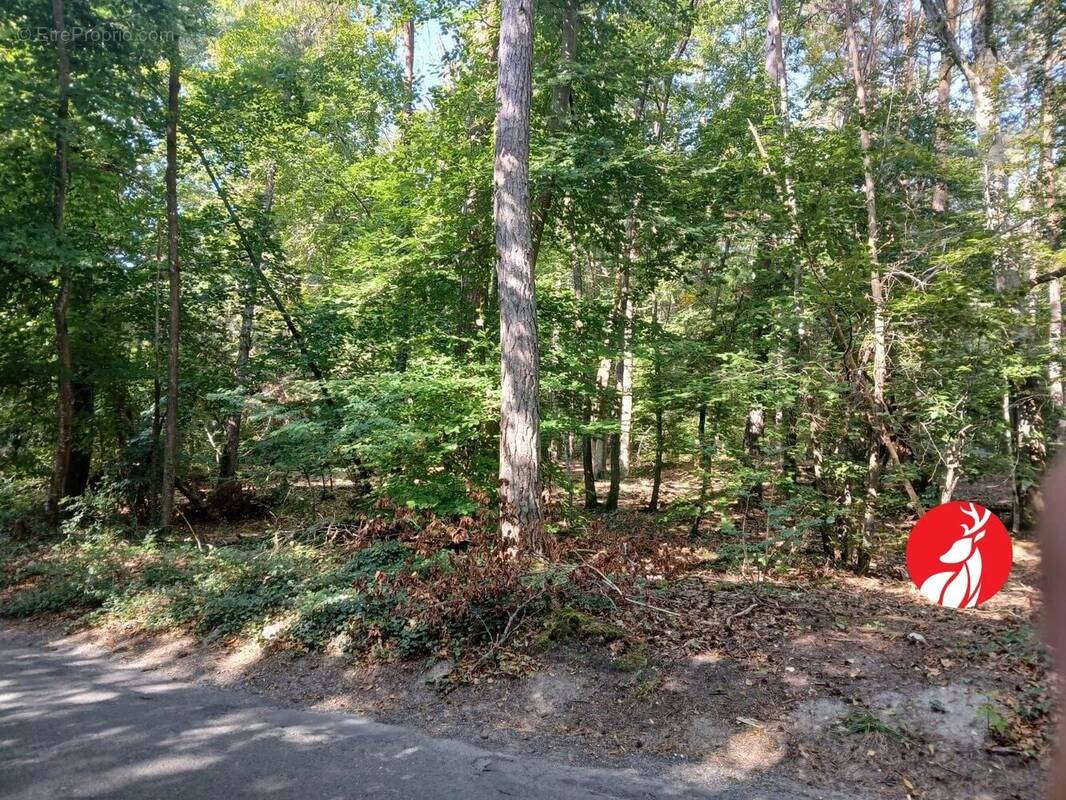 Terrain à MONTIGNY-SUR-LOING