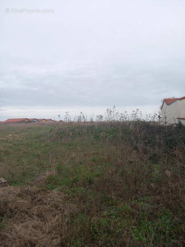 Terrain à CHATELAILLON-PLAGE