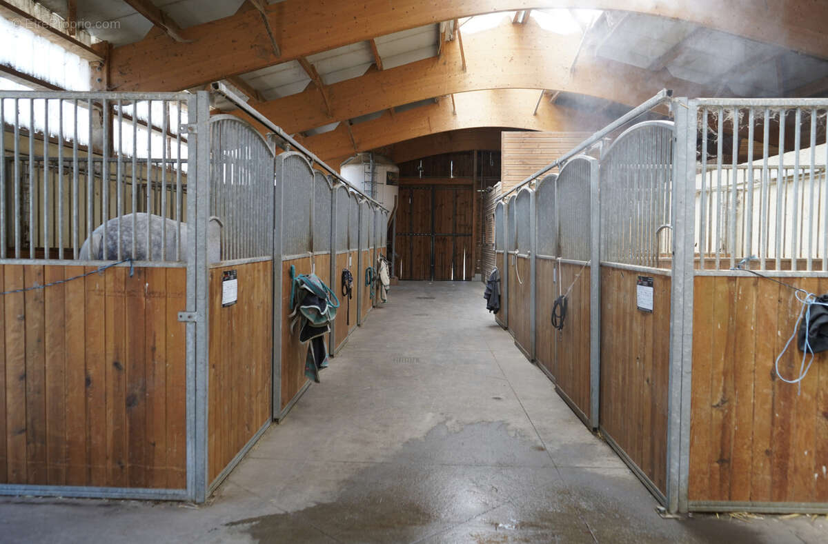 Haras du mas de meyrie - photo 8