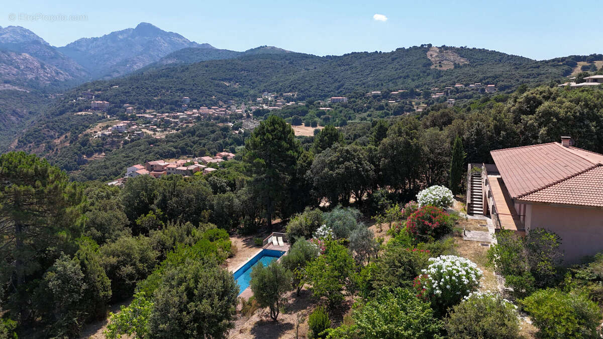 PIANA - Propriété de caractère - 195 m² - Vue exceptionnelle sur la mer - Piscine - photo 17