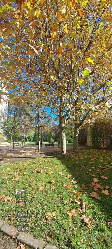 Appartement à ECULLY