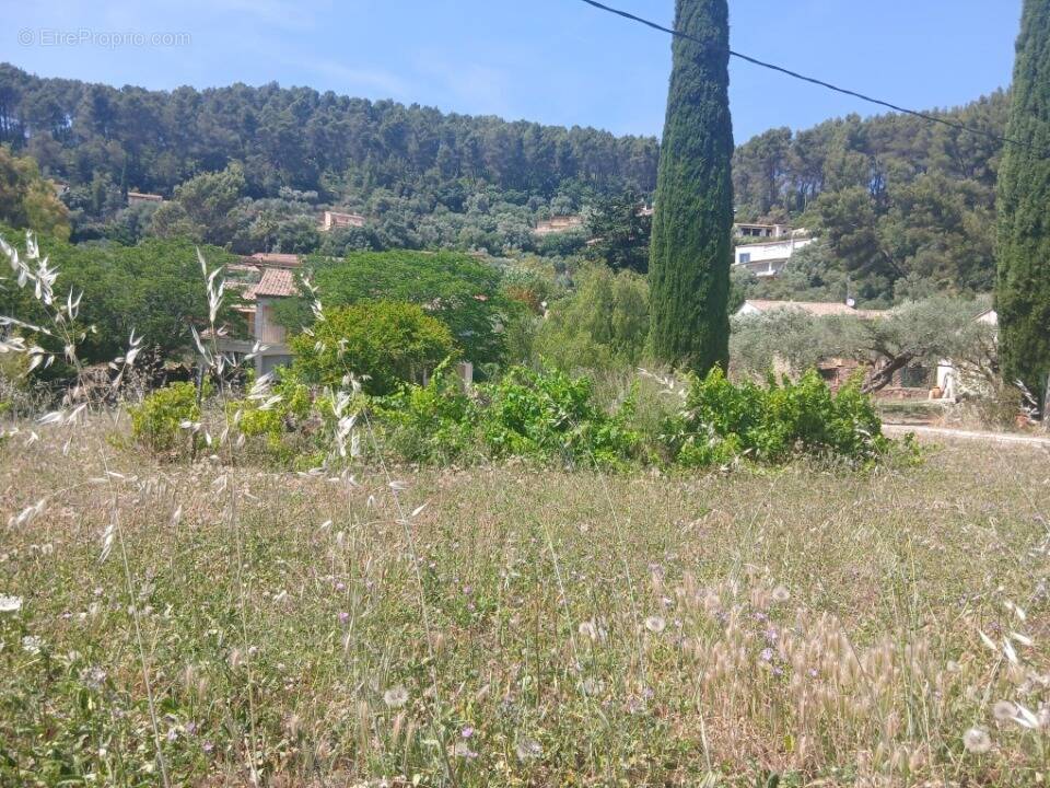 Terrain à SOLLIES-PONT