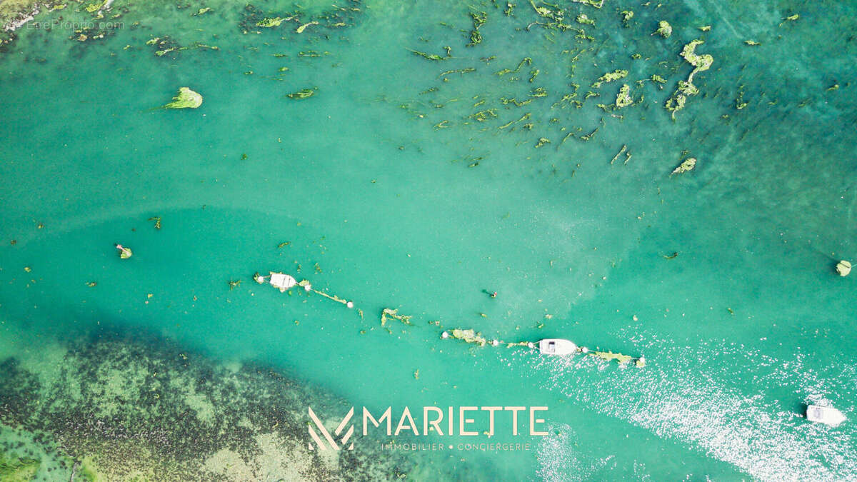 "MARQUISE" Penty face à la mer sur beau jardin arboré - photo 15