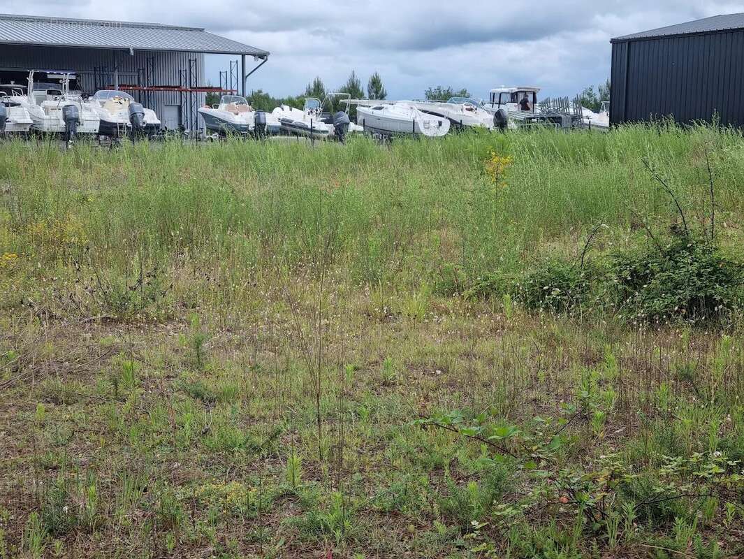 Terrain à SANGUINET