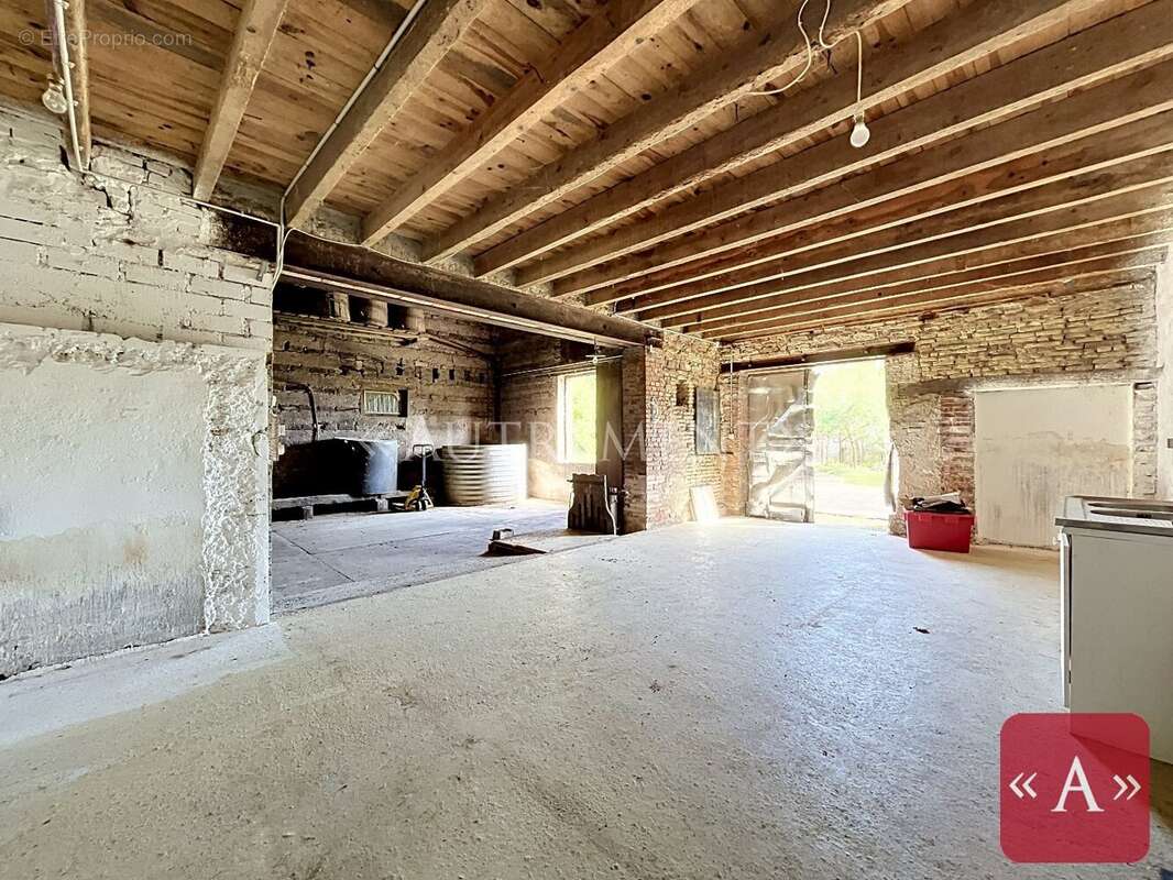 Ferme authentique - photo 16