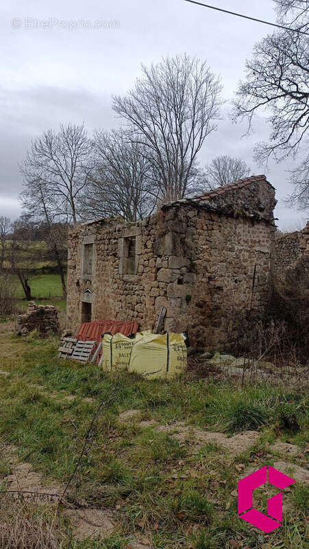 Terrain à USSON-EN-FOREZ