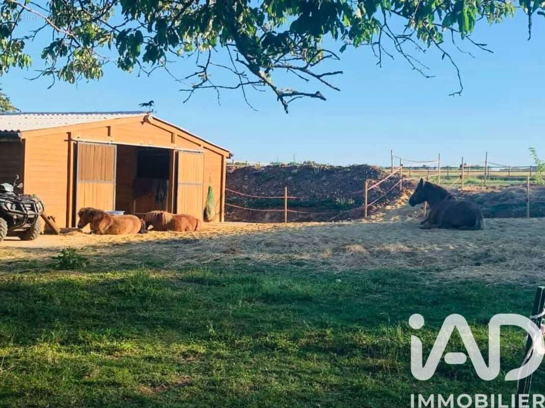 Photo 4 - Maison à ESVRES