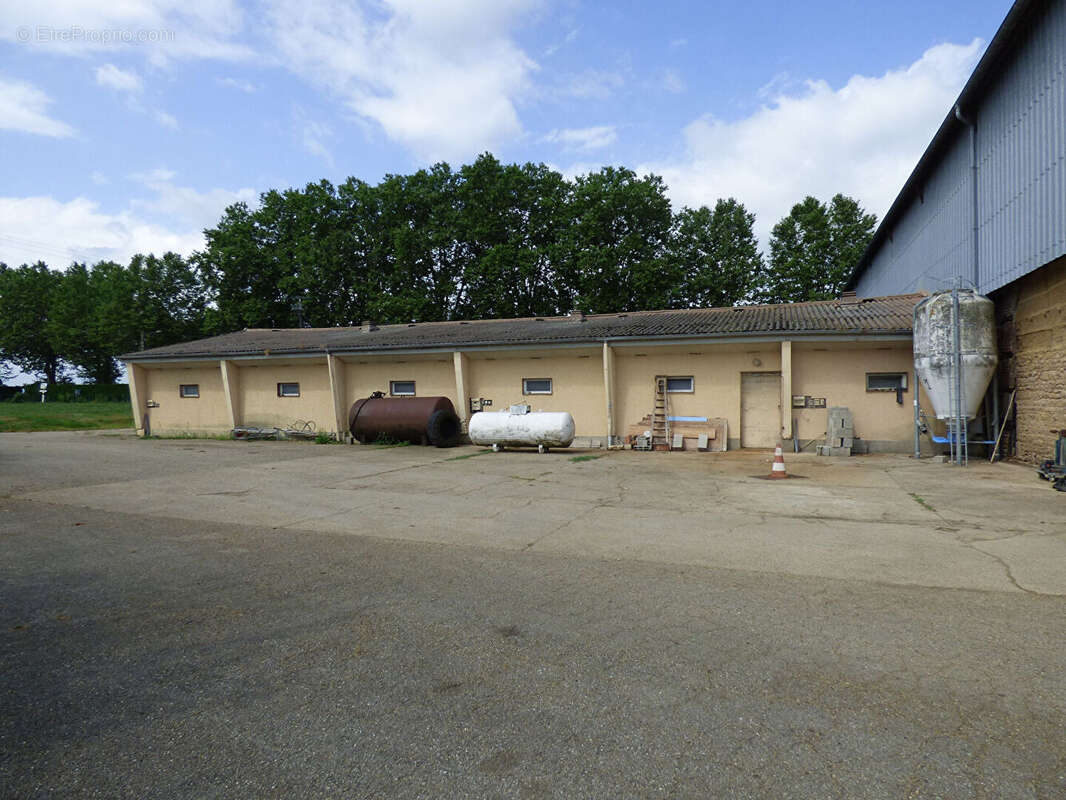 Maison à SAINT-JEAN-SUR-REYSSOUZE