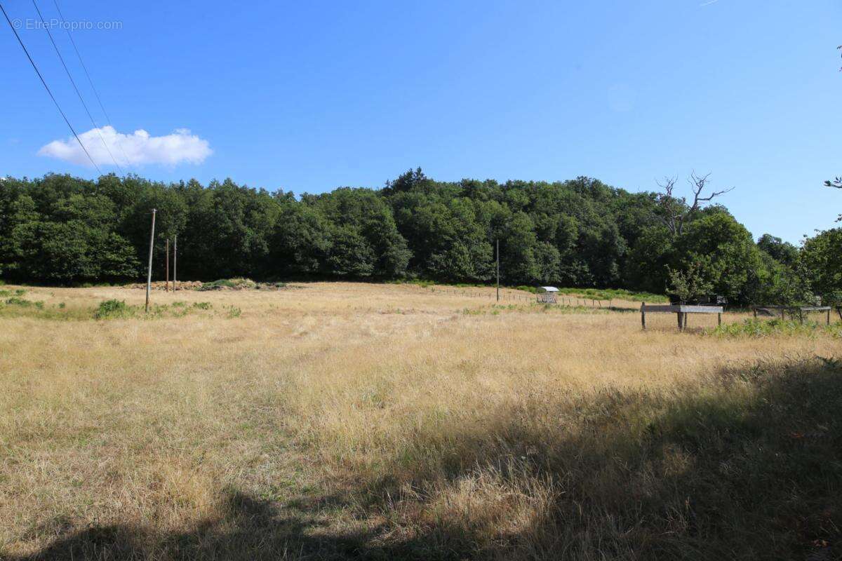 Demeure historique du 18ème avec dépendances dominant la vallée de l'Arroux - photo 10